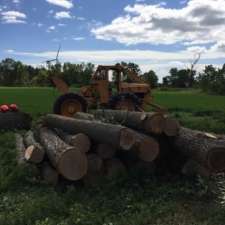 Wilcox Timber Harvesting | 35434 Bullock Rd, Parkhill, ON N0M 2K0, Canada