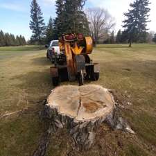 Alberta Arborists | 5480 Meridian St NW, Edmonton, AB T6P 1R3, Canada