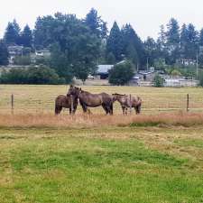 Braes Mhor Equestrian | 6476 Oldfield Rd, Victoria, BC V8M 1X8, Canada