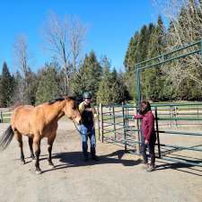 Discovery Equine at Cheam Stables | 9345 Ford Rd, Rosedale, BC V0X 1X2, Canada