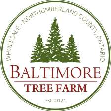 Baltimore Tree Farm | 9640 Turk Rd, Baltimore, ON K0K 1C0, Canada