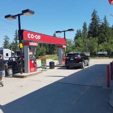 Co-op Gas Bar | 4828 Trans-Canada Hwy, Tappen, BC V0E 2X0, Canada