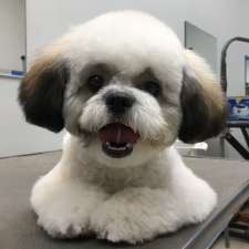 Deluxe Dog Groomery | 23 Pinecrest Dr, Middleton, NS B0S 1P0, Canada