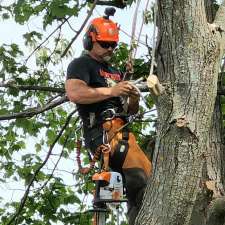 Gee's Trees | 3354 Clam Harbour Rd, Clam Harbour, NS B0J 2L0, Canada