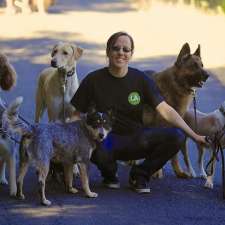 The Pack Way - Dog Training Guelph, Ontario | 65 Dawson Rd, Guelph, ON N1H 1B1, Canada