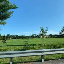 Shadow's Bees | 1114 Morin Rd, Cumberland, ON K4C 1A5, Canada
