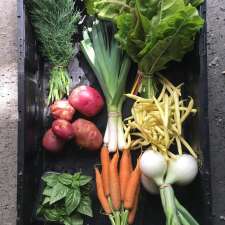 Natural Collective CSA | Box 1195, Niverville, MB R0A 0A1, Canada