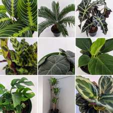 Tropical North Plants | 180 Cundles Rd W, Barrie, ON L4N 5N2, Canada