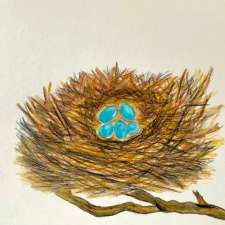Maria Connell Art Gallery | 75 Cleary Ave, Ottawa, ON K2A 1R8, Canada