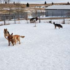 Sunset Ridge Veterinary Clinic | 101 Sunset Dr #5105, Cochrane, AB T4C 0W7, Canada