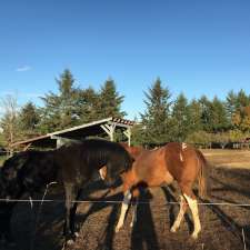 Tantivy Stables | 6224 Central Saanich Rd, Victoria, BC V8Z 5T7, Canada