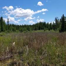 Wagner Natural Area | 30531 118 Ave., Acheson, AB T7X 6M5, Canada