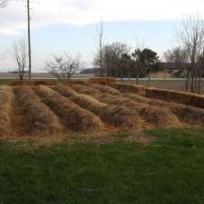 Gab's Garden | 2432 Cuddy Dr, Kerwood, ON N0M 2B0, Canada