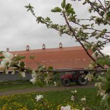 Ferme Claunik | 30 Rue St Joseph S, Rivière-Bleue, QC G0L 2B0, Canada