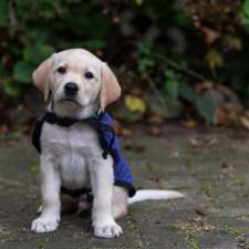 National Service Dogs Education Centre | 1440 King St E, Kitchener, ON N2G 2N7, Canada