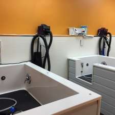 Canine Corral pet Grooming and self service dog wash | 10087 Hidden Valley Dr NW, Calgary, AB T3A 5Z7, Canada