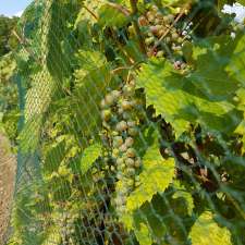 Sugar Woods Experimental Vineyards | 2Y0, 12 Line Rd, Wolfe Island, ON K0H 2Y0, Canada