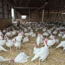 Winter's Turkeys | Township Rd 224, Dalemead, AB T0J 0V0, Canada