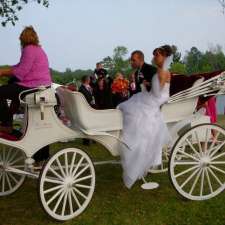 Patterson Carriage Services | 3330 Fargo Rd, Croswell, MI 48422, USA