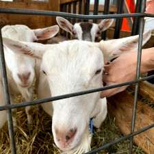 Ran-Cher Acres | 744 Canaan Rd, Aylesford, NS B0P 1C0, Canada