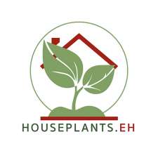 Houseplants.EH | 318 Coghill Dr, Kingsville, ON N9Y 3L1, Canada