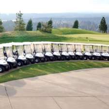 Ontario Golf Carts | 1040 ON-9, Mildmay, ON N0G 2J0, Canada