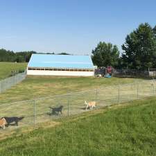 Wolfies Pet Resort | 3578 Township Rd 294, Cremona, AB T0M 0R0, Canada