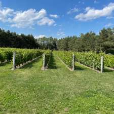 Vignoble Morou | 238 Chem. Louis Cyr, Napierville, QC J0J 1L0, Canada