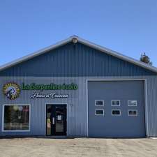 La Serpentine écolo Fleurs et cadeaux | 75 Av. Saint-Patrick, Saint-Joseph-de-Coleraine, QC G0N 1B0, Canada
