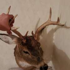 J.J.'s Taxidermy | 403457, Grey County Rd 4, Priceville, ON N0C 1K0, Canada