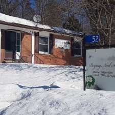 Beijing nail salon | 52 Meadow Park Dr, Huntsville, ON P1H 1E7, Canada