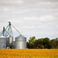 Salter Garden Market | 270 Salter St, Winnipeg, MB R2W 4K9, Canada