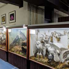 Thomas McCulloch Museum | 1355 Oxford St, Halifax, NS B3H 4J1, Canada