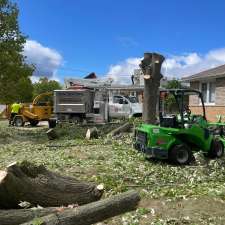 R. T. E. Tree Service | 1237 Concession 5 W, Waterdown, ON L8B 1L3, Canada