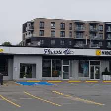 Archer Fleuriste Inc | 3440 Chemin des Quatre-Bourgeois, Québec, QC G1W 4T3, Canada