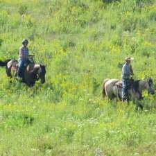 Winding Fences Farm | 1102 Ambleside Ln, Utterson, ON P0B 1M0, Canada