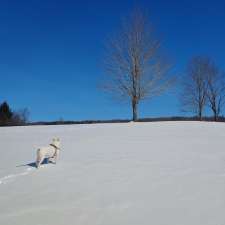Walter Kummer Town Park | 8602 Park Street, Colden, NY 14033, USA