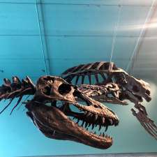 Ed Leith Cretaceous Menagerie | Wallace Bldg, 125 Dysart Rd, Winnipeg, MB R3T 2N2, Canada