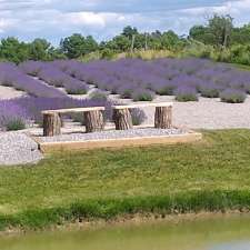 MiKel's Lavender Oasis | 5127 Harrison Rd, Binbrook, ON L0R 1C0, Canada