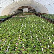 Parkside Gardens Greenhouse & Landscaping | MB-5, Riding Mountain, MB R0J 1T0, Canada
