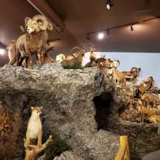 Sundre Museum & Wildlife Exibit | 211 1 Ave SW, Sundre, AB T0M, Canada
