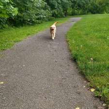 Rockcliffe Park Dog Park | 540 Hillsdale Rd, Rockcliffe Park, ON K1M 0S1, Canada