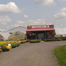 Flowerbed Greenhouses Ltd. | 22653 Kent Bridge Rd, Kent Bridge, ON N0P 1V0, Canada