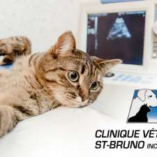 Clinique Veterinaire-St-Bruno | 27 Chem. de la Rabastalière E, Saint-Bruno-de-Montarville, QC J3V 2A4, Canada