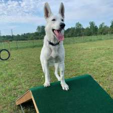 Country Canines Play Park - London | Wonderland Road South and, ON-402, London, ON N6P 1G5, Canada
