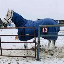 Delaney Veterinary Services | 52218 Range Rd 223, Sherwood Park, AB T8C 1B1, Canada