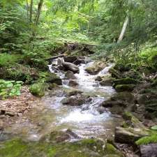 Pretty River Valley Provincial Park | County Road 31, Nottawa, ON L0M 1P0, Canada