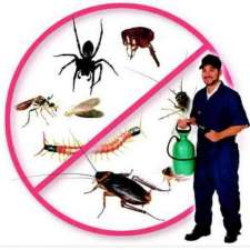 Expert Pest Control | 796 Carlaw Ave, Toronto, ON M4K 3L2, Canada