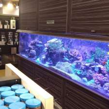 Reef Originae | 75 Boulevard Bastien, Wendake, QC G0A 4V0, Canada