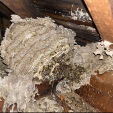 Mainland Wildlife Control | 2101 McMullen Ave, Vancouver, BC V6L 3B4, Canada
